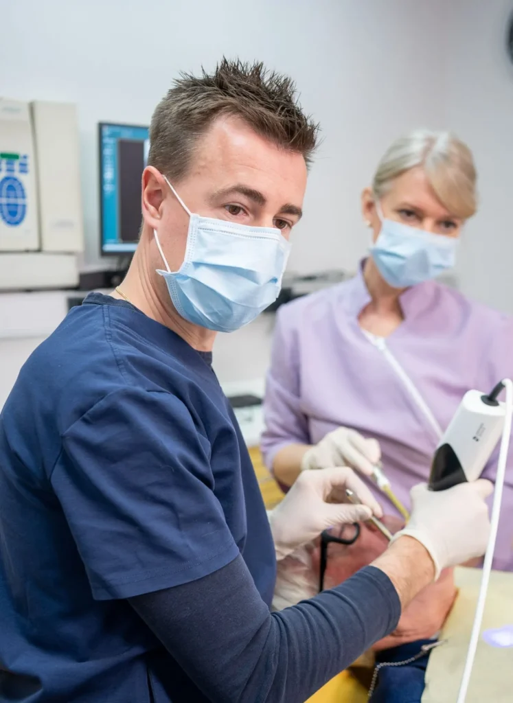 Studio Dentistico Del Curto Mira - studio dentistico a Busto Arsizio - dentista a Busto Arsizio
